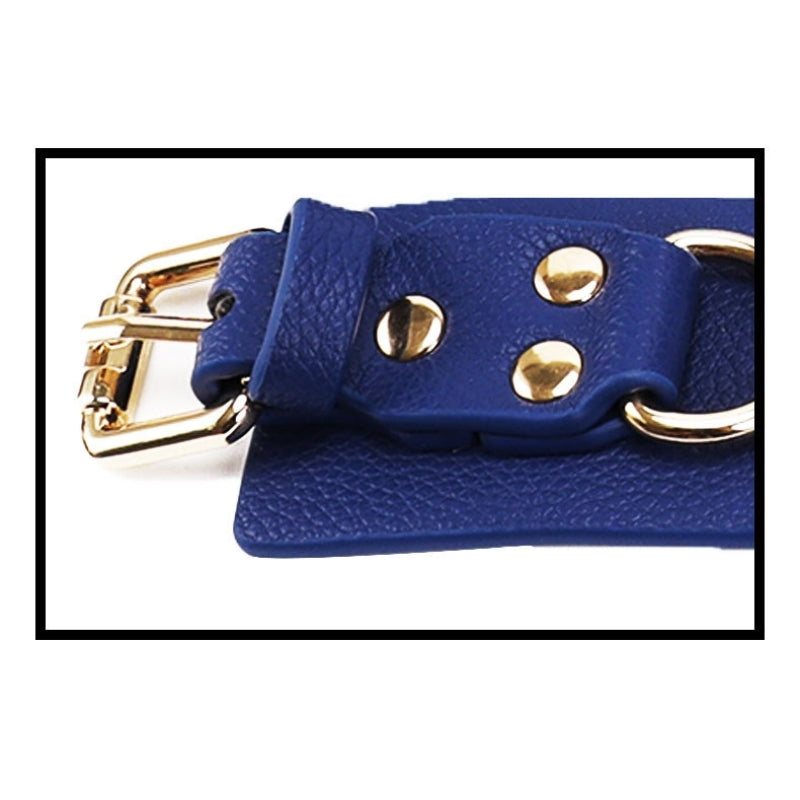 Wholesale Dominatrix Starter Kit with Navy Embroidery details